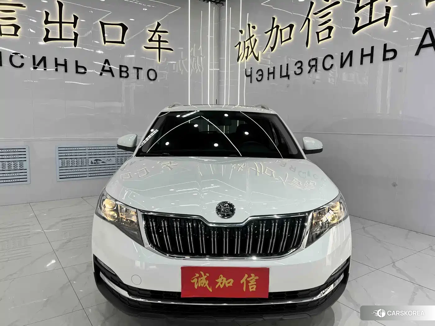 Skoda Kamiq id 4655111 из Китая 16