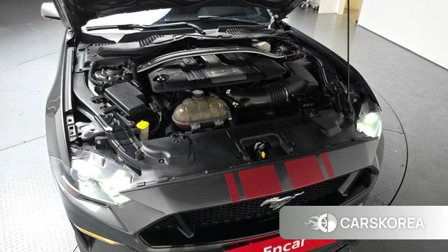 Ford Mustang id 3966259 из Кореи 15