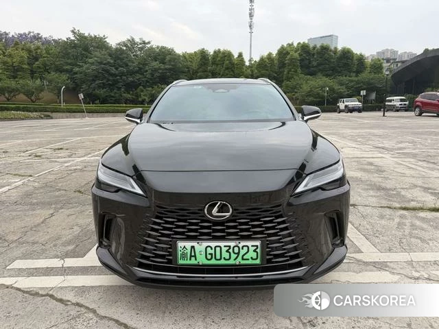 Lexus RX PHEV id 4329147 из Китая 7