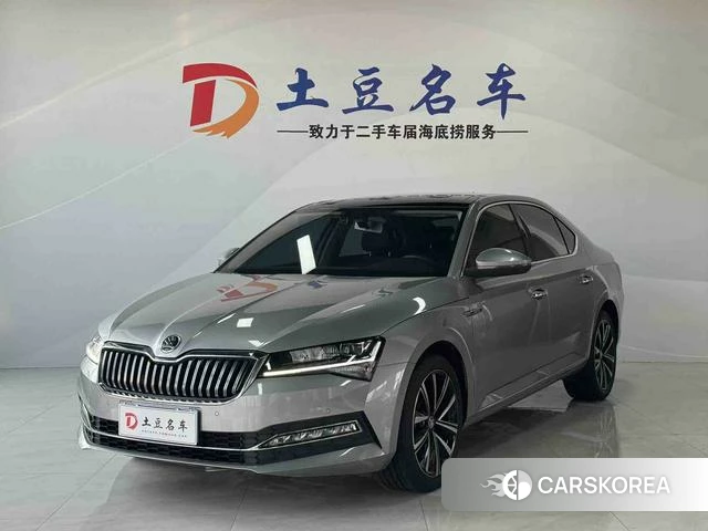 Skoda Speed pie id 3983465 из Китая 14