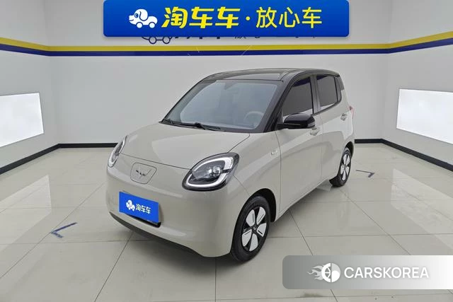 Wuling Automobile Wuling Hongguang MINIEV id 4253018 из Китая 12
