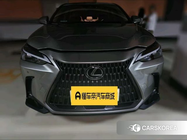 Lexus NX PHEV 2022 Серебристо-серый из Китая, фото 5