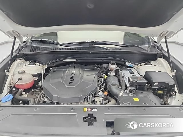 Hyundai The New Santa Fe id 4230686 из Кореи 15