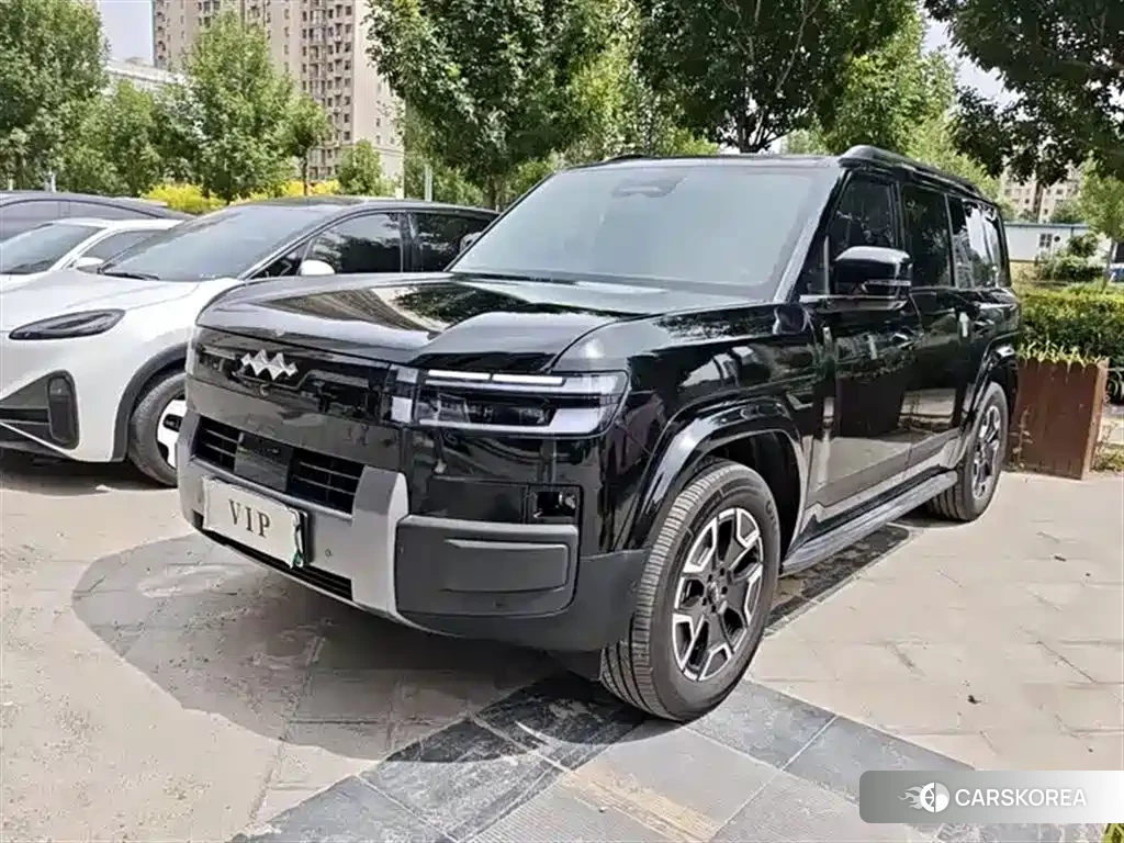 Leopard Titanium 7 id 4577873 из Китая 17