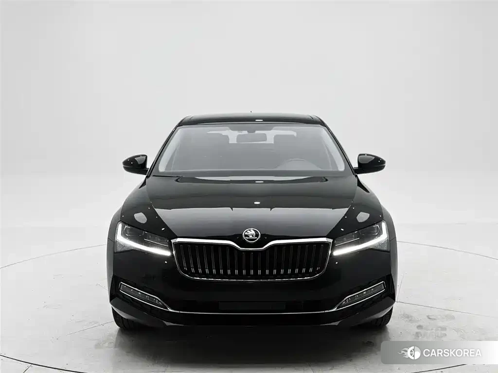 Skoda Speed pie id 4578276 из Китая 19