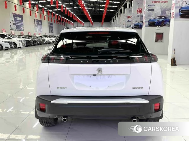 Peugeot 2008 id 4207453 из Китая 13