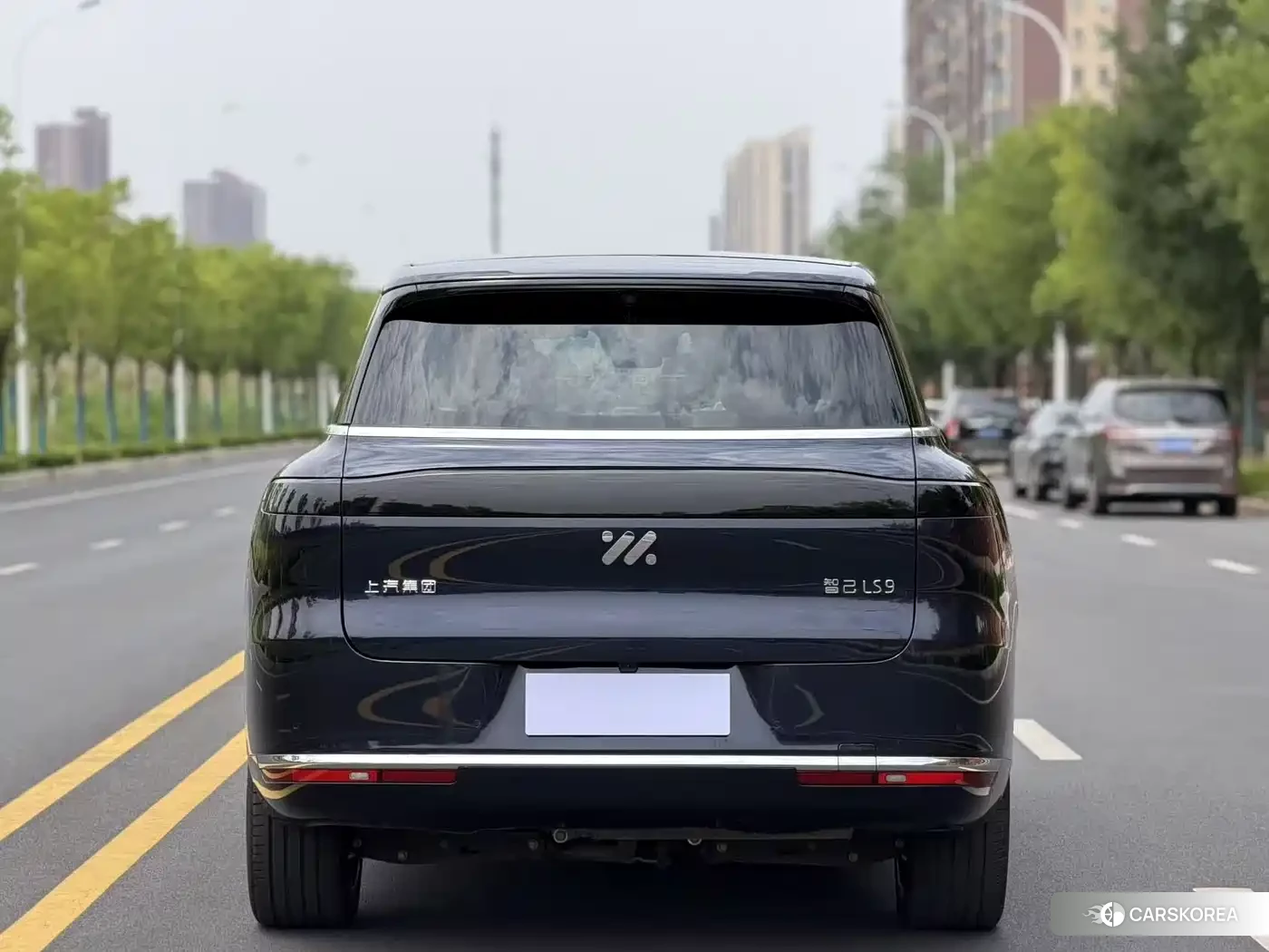 Zhiji Automobile Zhiji LS9 2026 Черный из Китая, фото 5