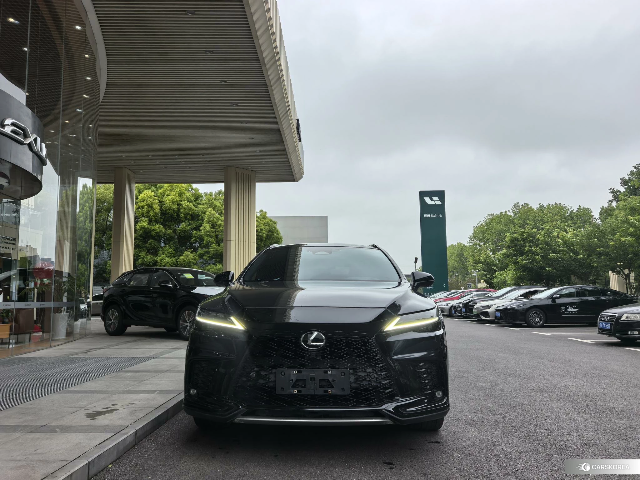 Lexus RX id 4420211 из Китая 13