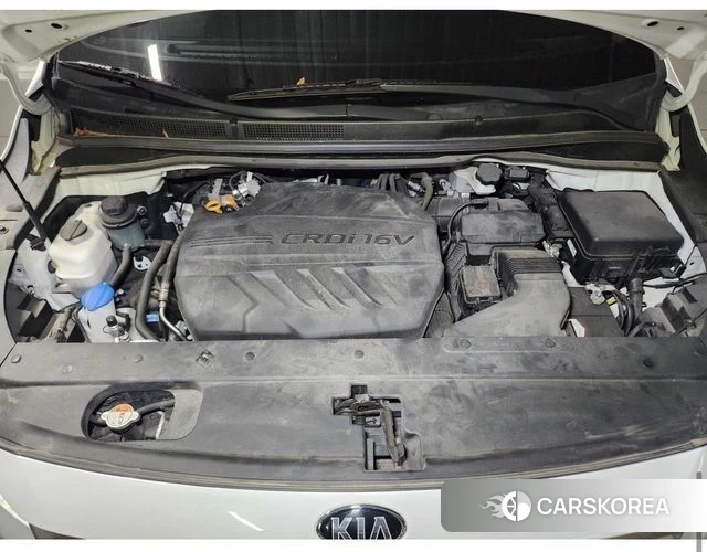 Kia The New Carnival 2020 Белый из Кореи, фото 5