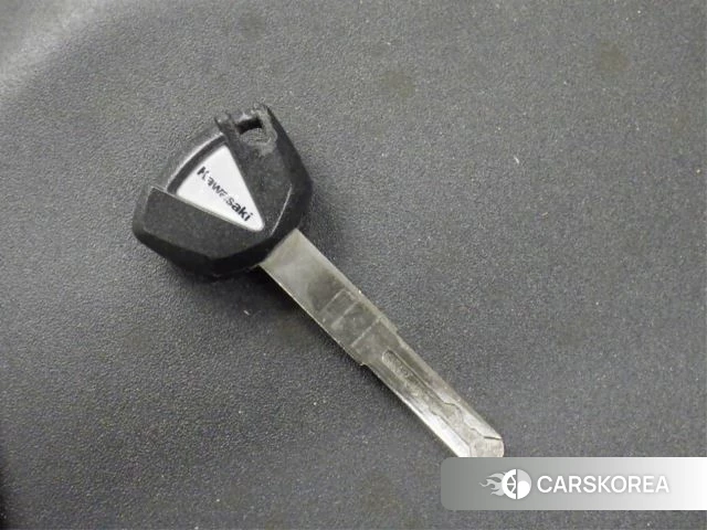 Kawasaki ZX-10R NINJA ABS id 3947016 из Японии 27