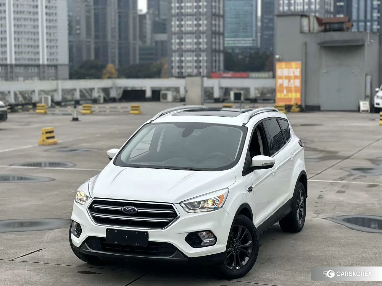 Ford Winged Tiger 2019 Белый из Китая, фото 5