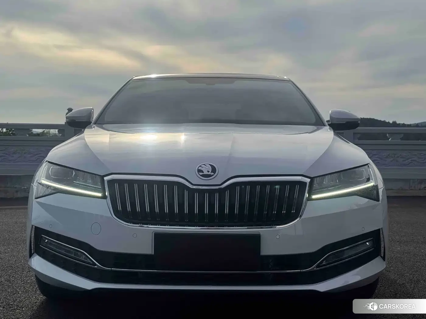 Skoda Superb id 4685876 из Китая 18