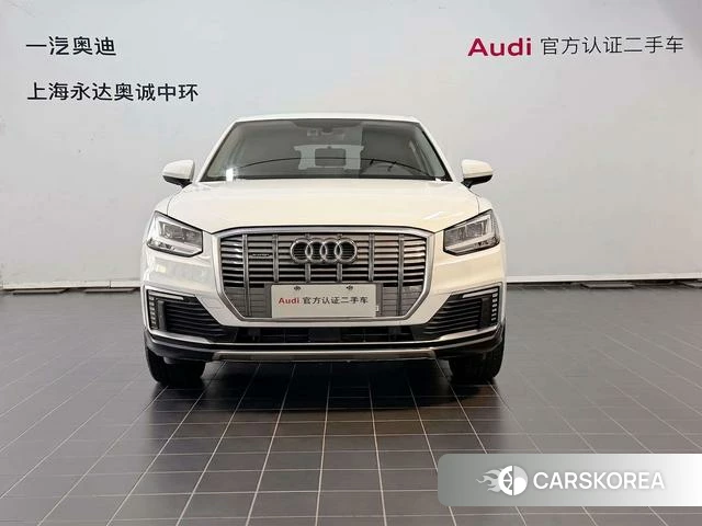 Audi Q2L e-tron id 4238196 из Китая 10