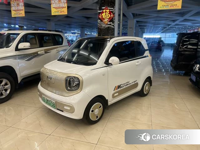 Pentium pony 2025 Белый из Китая, фото 5