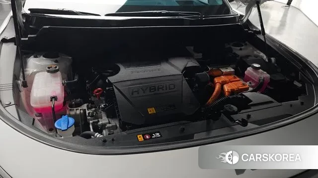 Kia Di Ol Nu Niro id 3565573 из Кореи 15