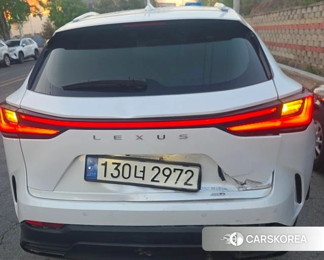 Lexus NX350h Second generation 2023 Белый из Кореи, фото 5
