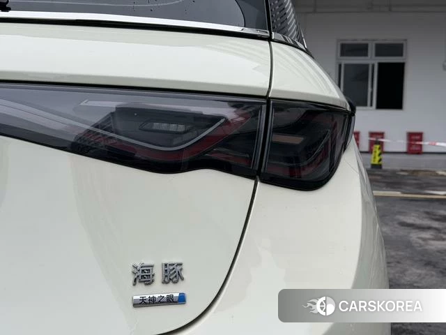 BYD dolphin id 4205632 из Китая 16