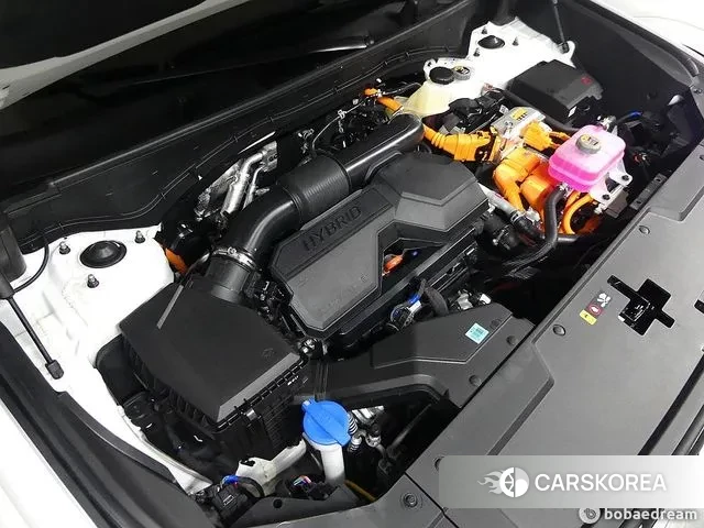 Hyundai Santa Fe (MX5) id 3251220 из Кореи 15