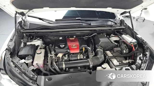 Lexus NX300 id 3390730 из Кореи 15