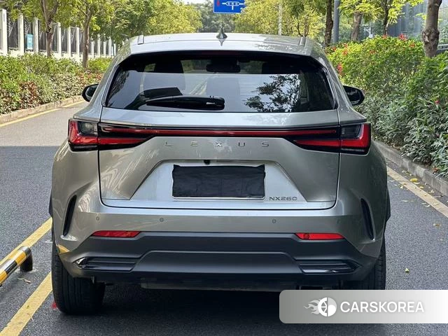 Lexus NX id 4291299 из Китая 8