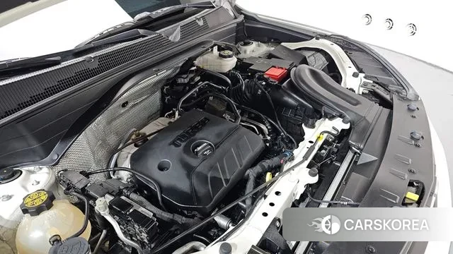 Chevrolet (GM Daewoo) Trailblazer id 3323087 из Кореи 15