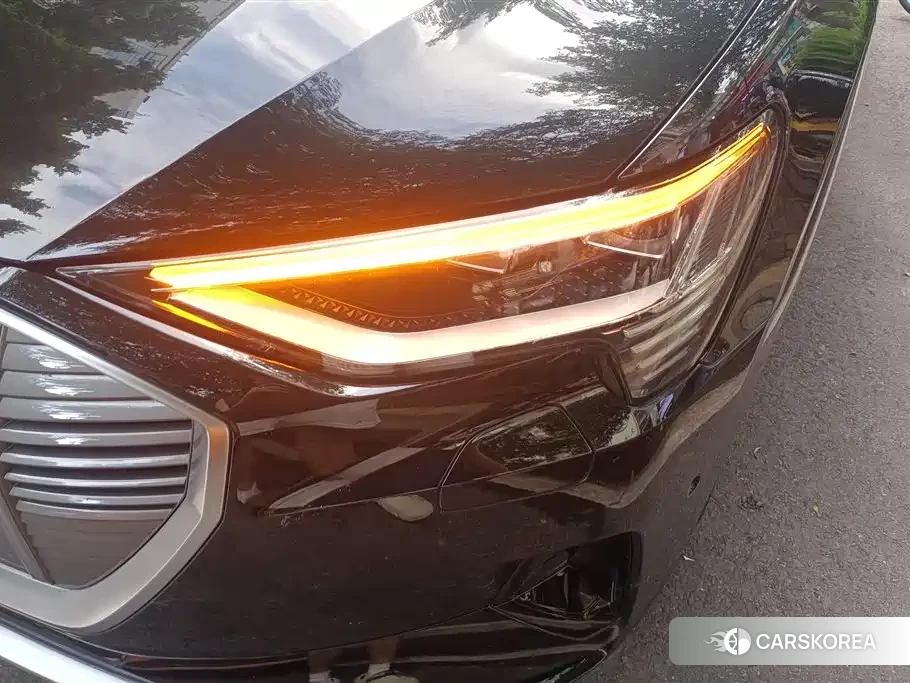 Audi e-tron id 4539486 из Китая 11