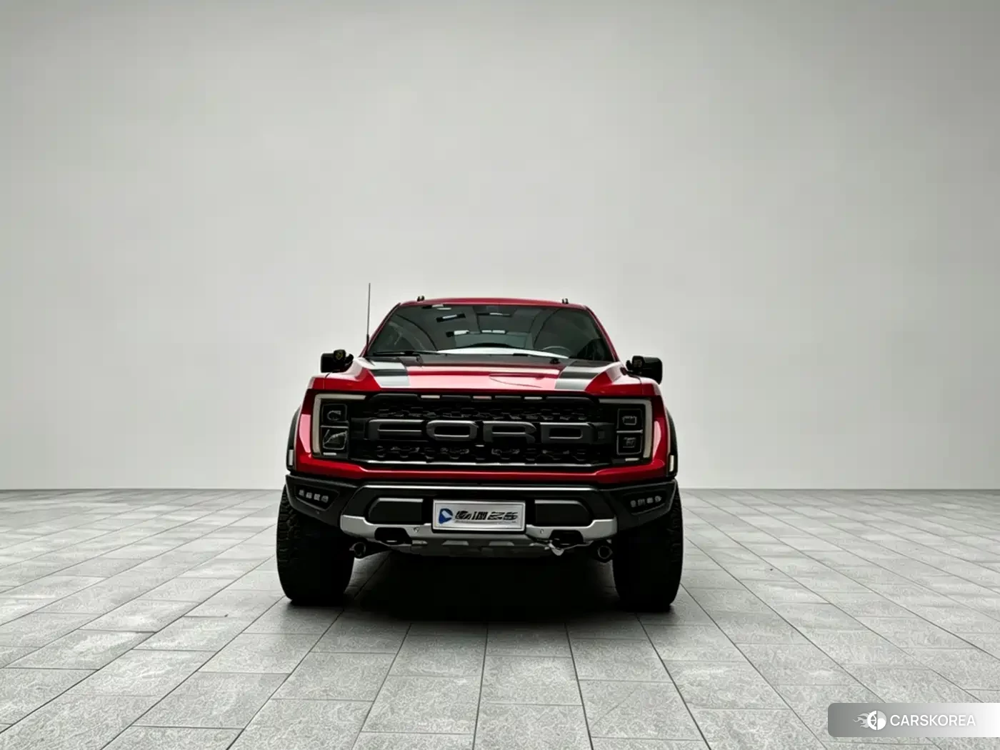 Ford F-150 Raptor id 4577420 из Китая 11