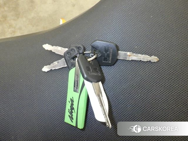 Kawasaki NINJA 250R id 3947217 из Японии 21