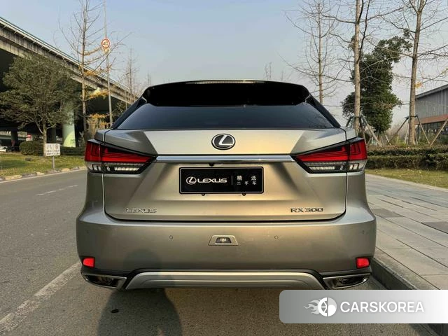 Lexus RX 2022 Серебристо-серый из Китая, фото 6