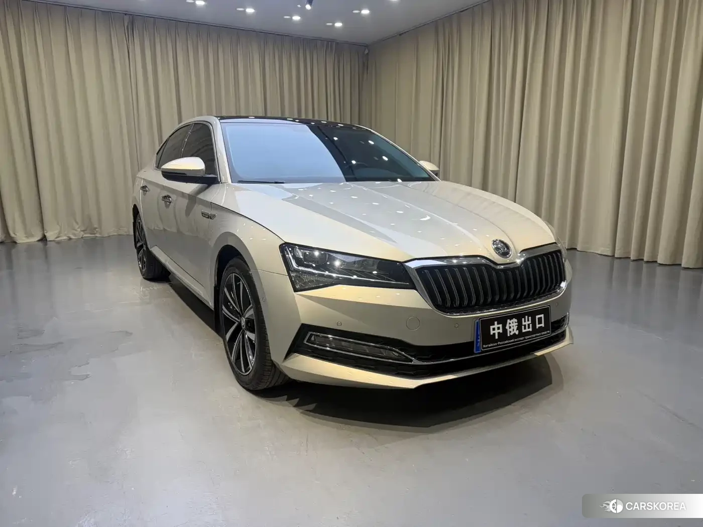 Skoda Speed pie id 4553739 из Китая 13