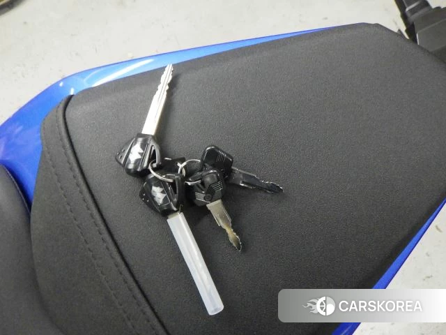 Suzuki GSX-8R id 4183597 из Японии 19