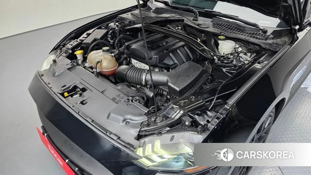 Ford Mustang id 3917010 из Кореи 16