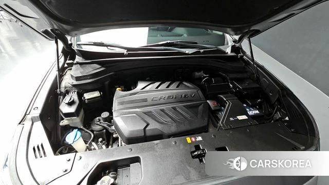 Hyundai Santa Fe TM id 4357041 из Кореи 16