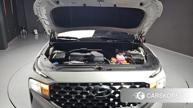 Hyundai The New Santa Fe id 2989873 из Кореи 16