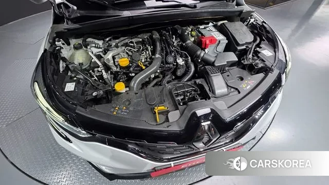 Renault Korea (Samsung) Capture id 3582704 из Кореи 16