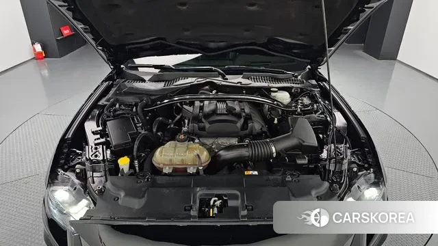 Ford Mustang id 3526425 из Кореи 16