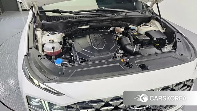 Hyundai The New Santa Fe id 3283150 из Кореи 16