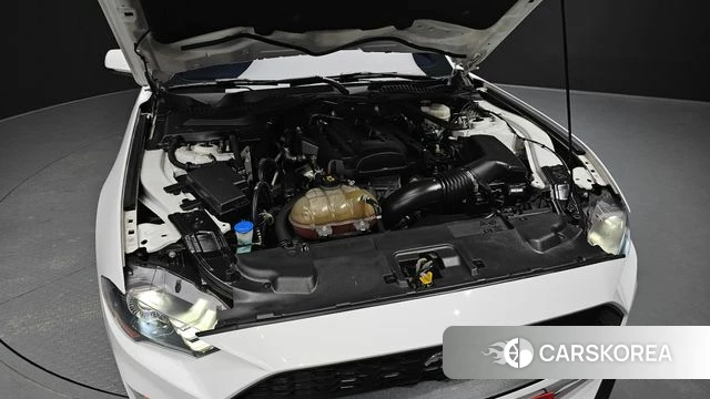 Ford Mustang id 3936353 из Кореи 16