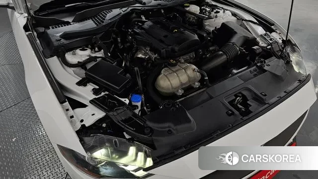 Ford Mustang id 3752169 из Кореи 16