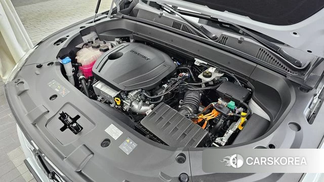 Renault Korea (Samsung) Grand Coleos id 4248208 из Кореи 16