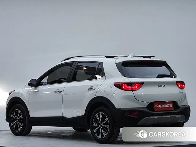 Kia Yi Ran id 4259439 из Китая 13