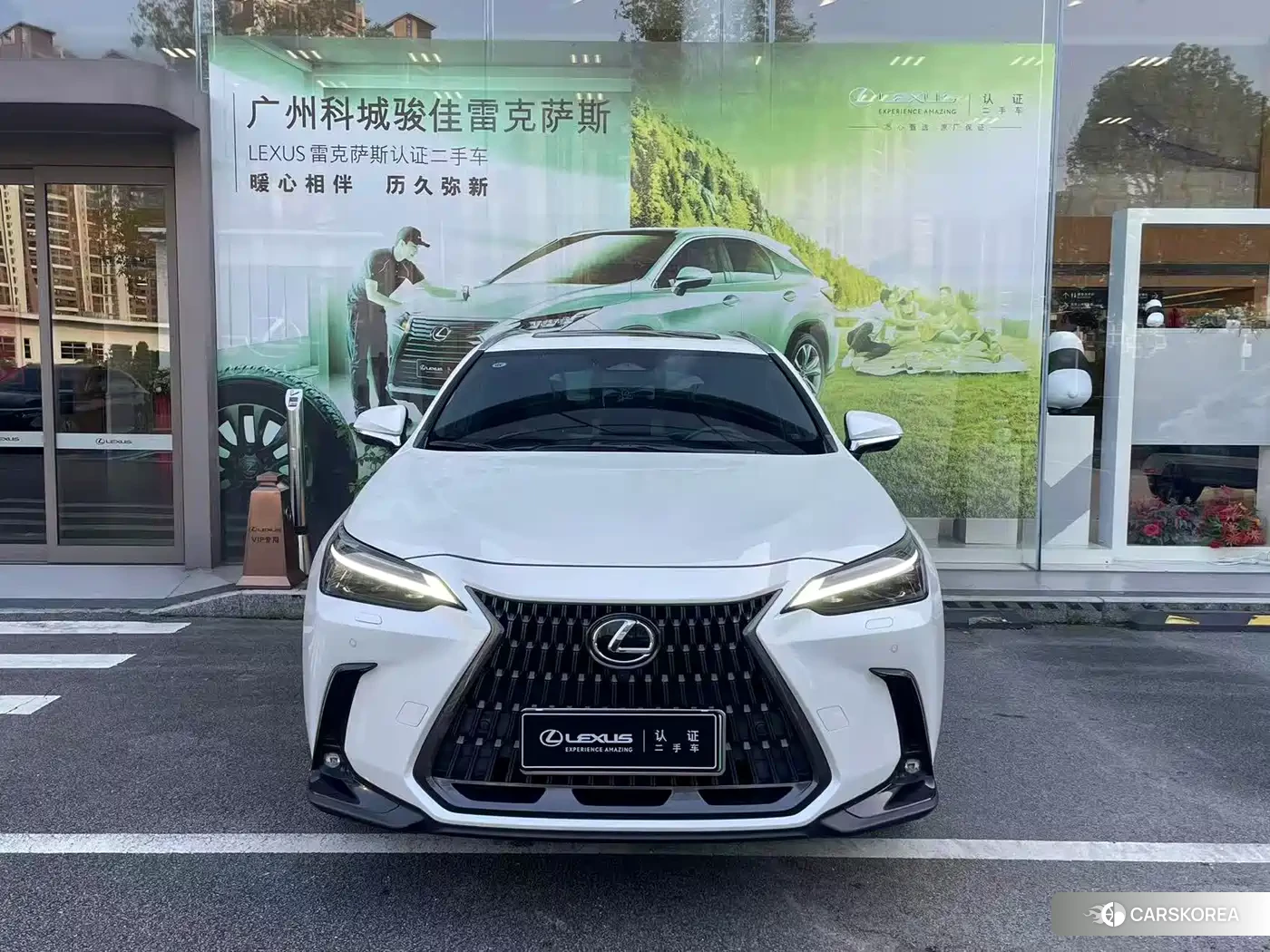 Lexus NX New Energy 2022 Белый из Китая, фото 6