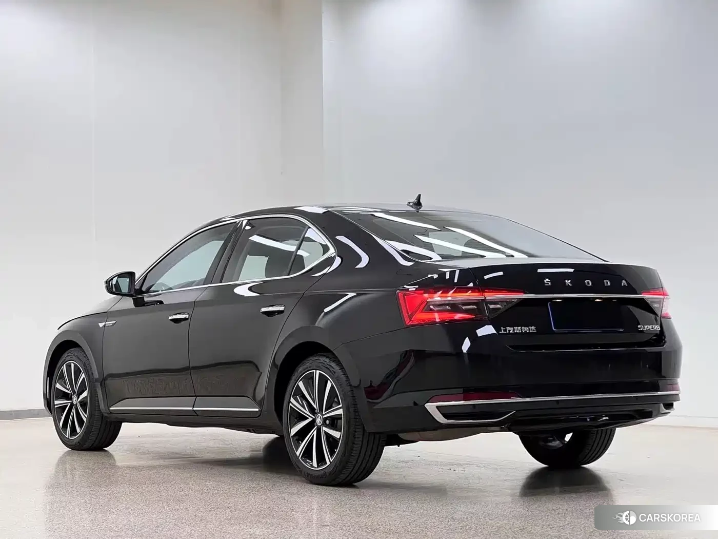 Skoda Speed pie id 4514112 из Китая 23