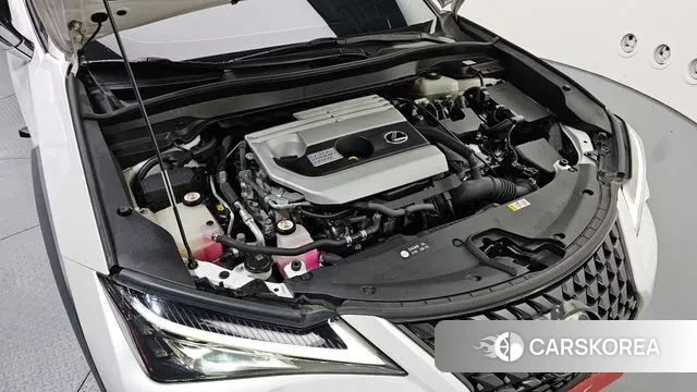 Lexus UX250h id 3013682 из Кореи 16