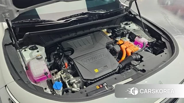 Kia Di Ol Nu Niro id 3092867 из Кореи 16