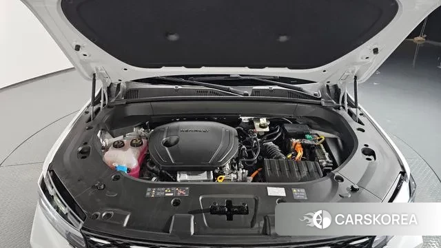 Renault Korea (Samsung) Grand Coleos id 3126123 из Кореи 16