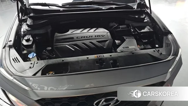 Hyundai Santa Fe TM id 3563148 из Кореи 16