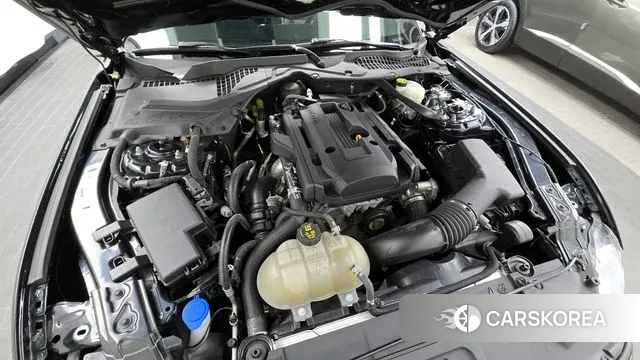 Ford Mustang id 3492630 из Кореи 16