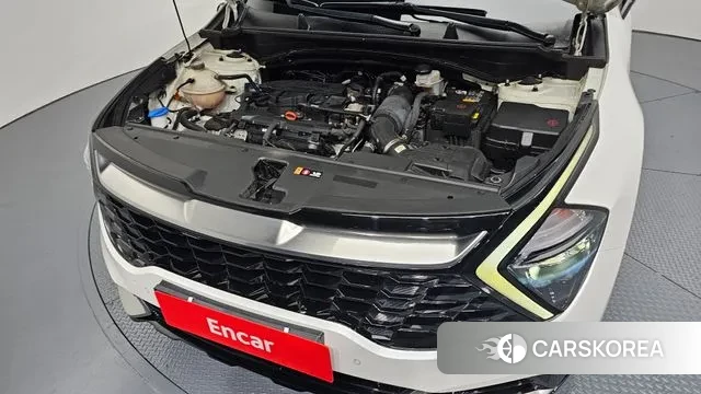 Kia Sportage 5th Generation id 3389625 из Кореи 16