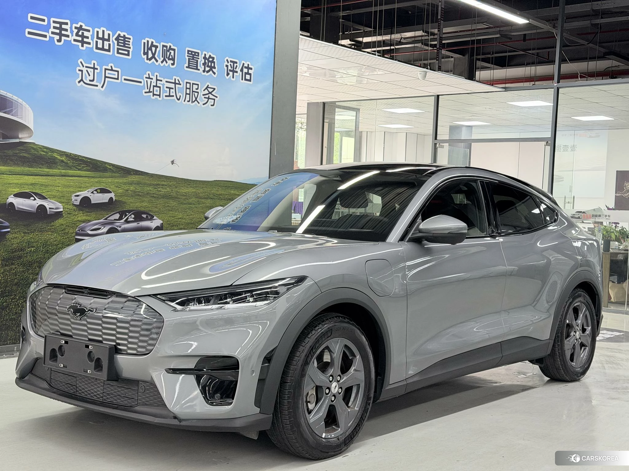 Ford Electric horse 2021 Темно-серый из Китая, фото 6